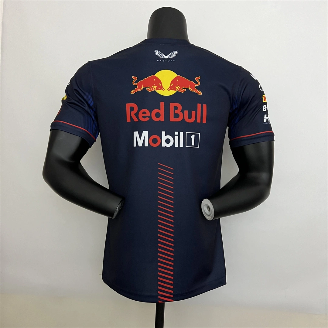 2023 F1 Formula One