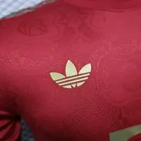 Bayern Munich 2025 125th Anniversary Jersey - Player Version