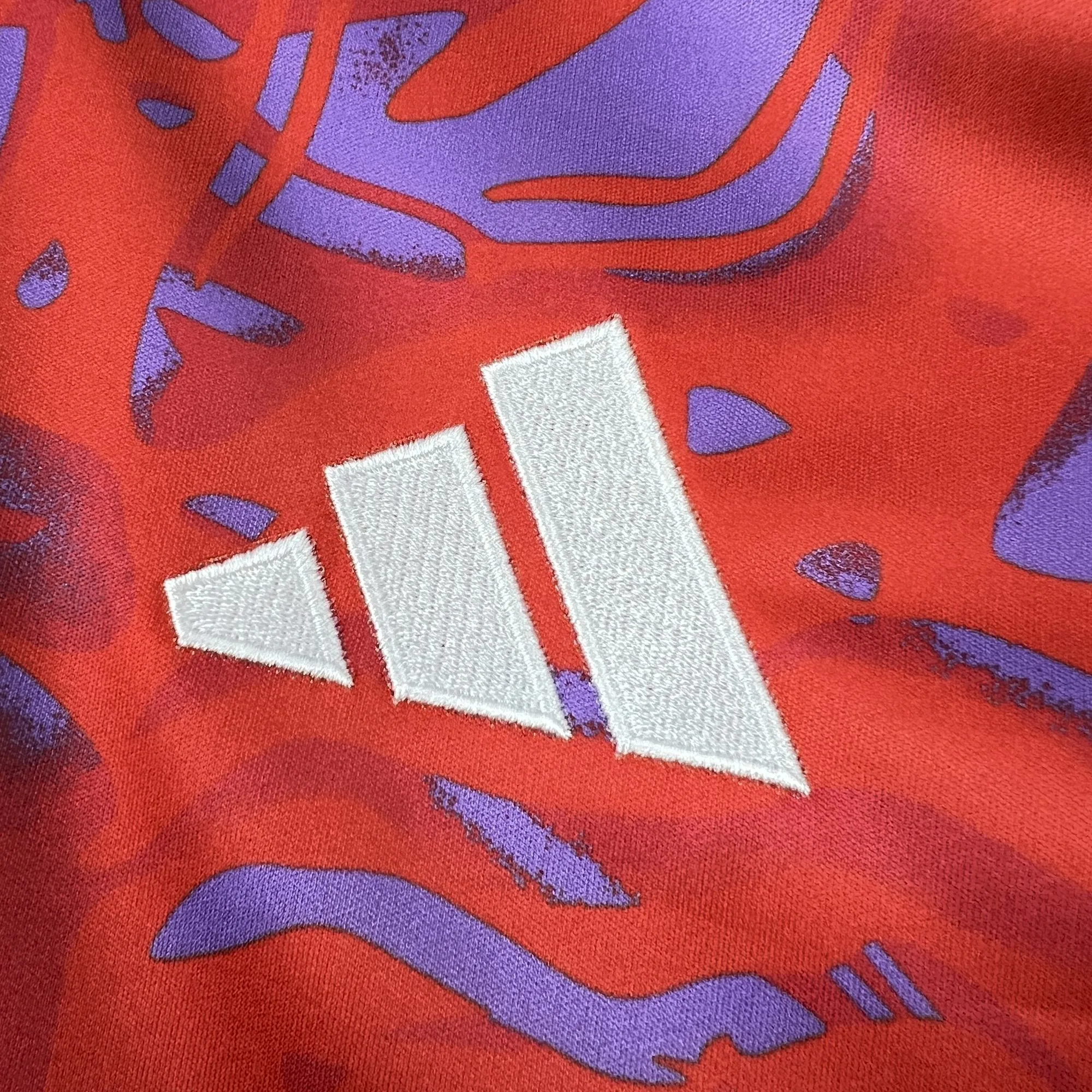 2026  Costa Rica World Cup Home Football jersey Fan edition
