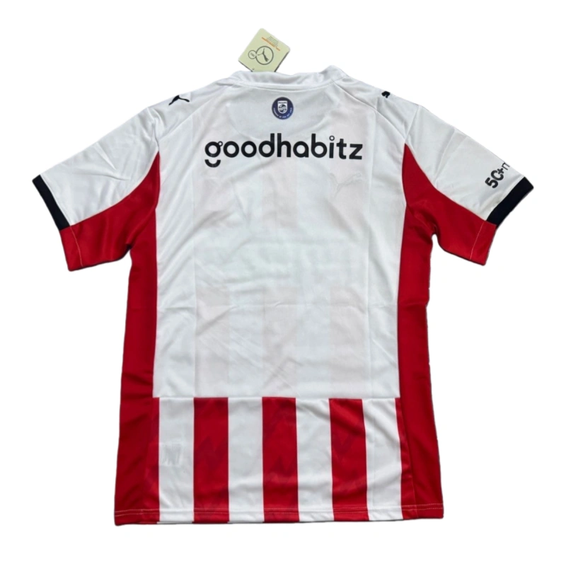 2025-26 PSV Eindhoven Home Football jersey Fan version