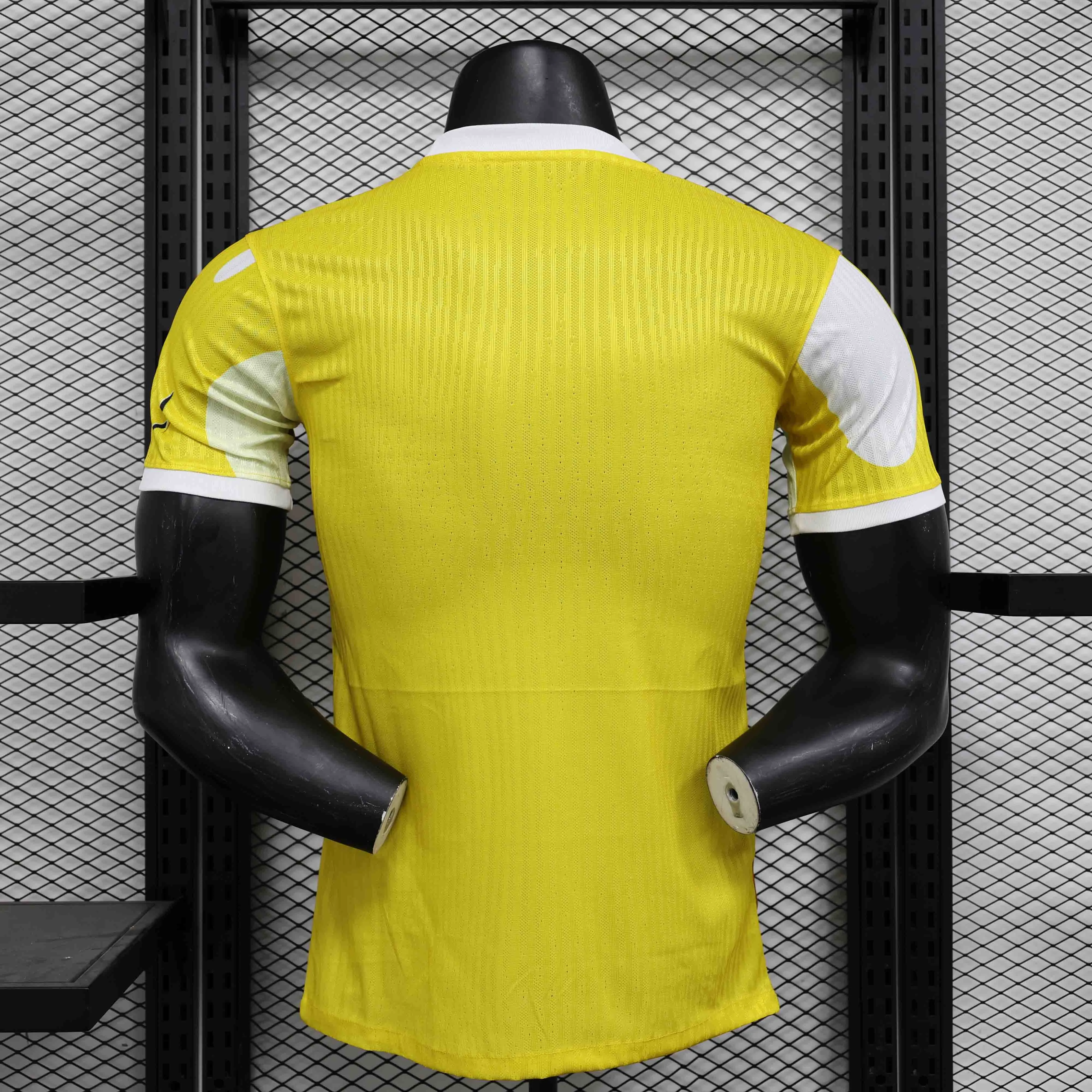 24/25 Player Brazil Special Edition Soccer Jersey