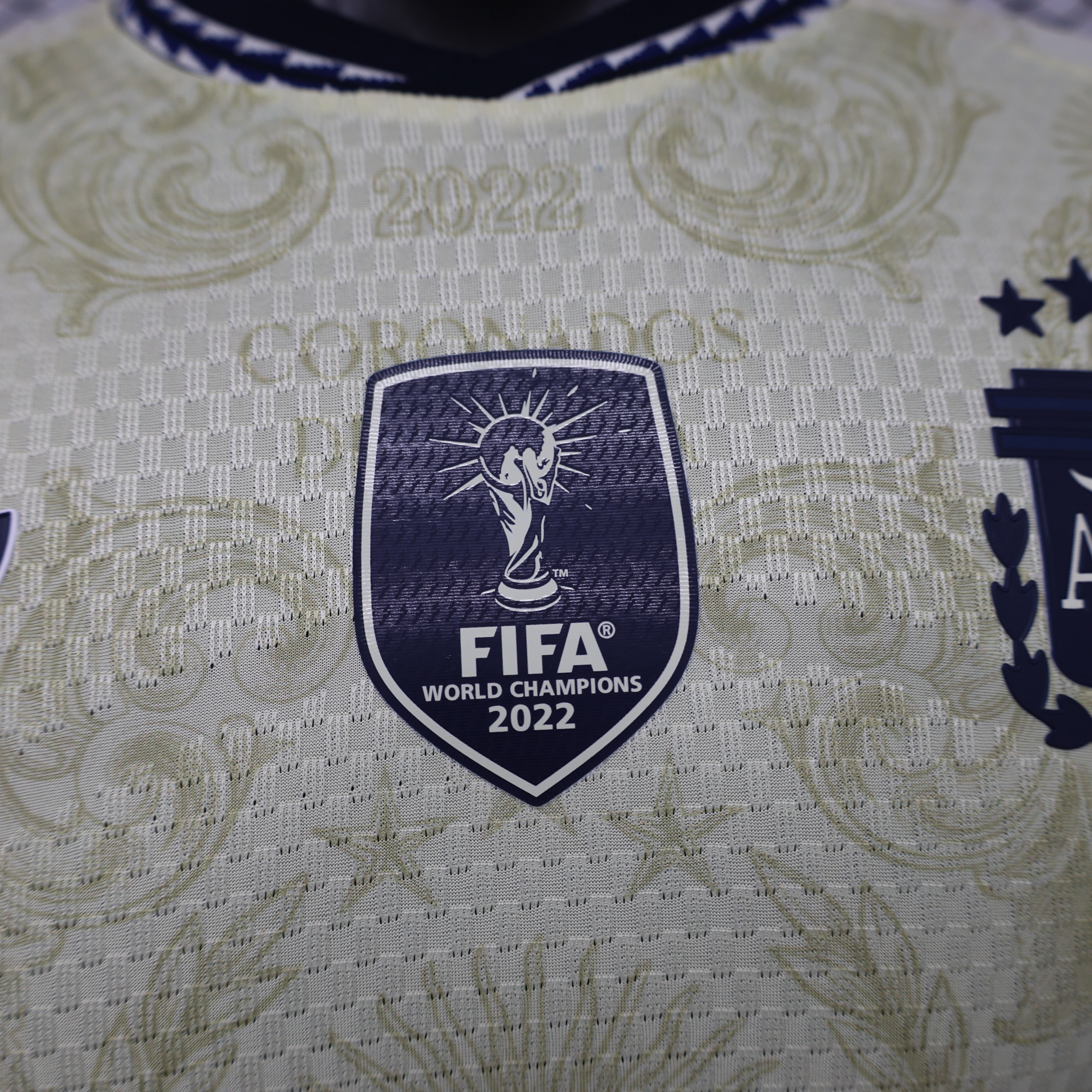 Argentina 2026 World Cup Special Edition Football Jersey Player Version