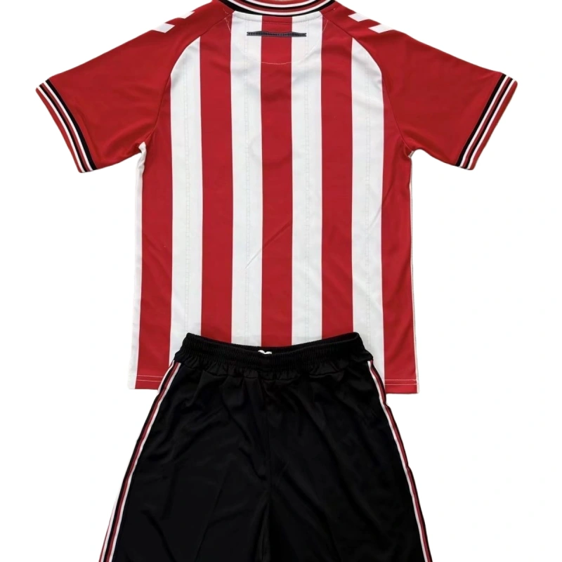 2025-26 Sunderland AFC Home Kids Football jersey Kit Fan version