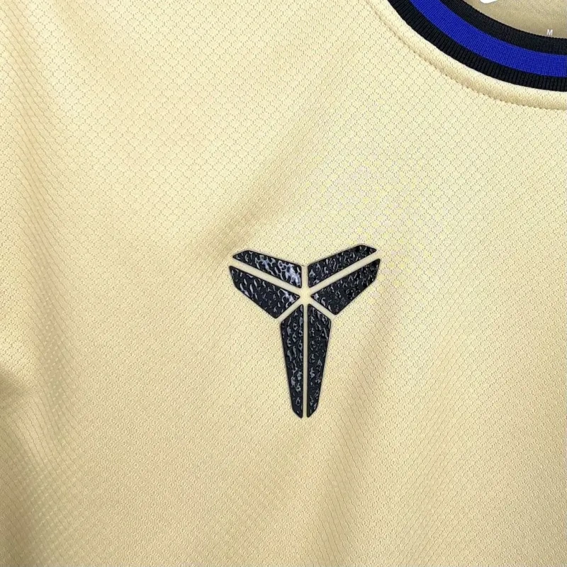Barcelona Away football Jersey 2025-26  Fan version